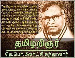 தெ பொ மீனாட்சி சுந்தரனார்