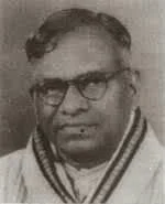 தெ பொ மீனாட்சி சுந்தரனார்