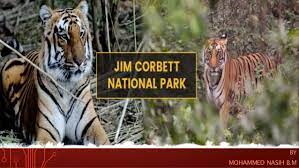 TNPSC POLITY TAMIL - NATIONAL ANIMAL