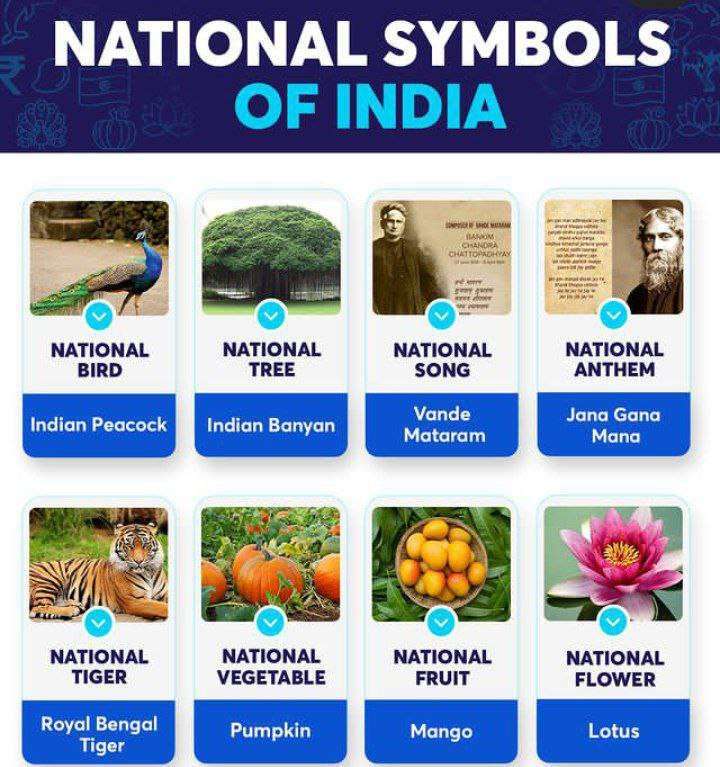 25 NATIONAL SYMBOLS OF INDIA