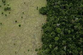 TNPSC TAMIL CURRENT AFFAIRS