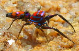 TNPSC DAILY CURRENT AFFAIRS IN TAMIL