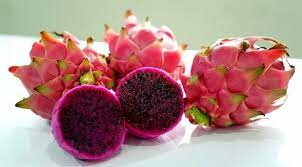 DAILY CURRENT AFFAIRS IN TAMIL