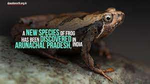 TNPSC CURRENT AFFAIRS IN TAMIL