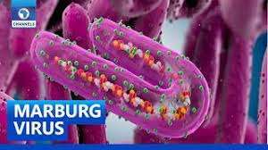 TNPSC DAILY CURRENT AFFAIRS IN TAMIL