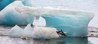 DAILY CURRENT AFFAIRS IN TAMIL