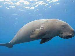 TNPSC DAILY CURRENT AFFAIRS IN TAMIL