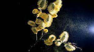 TNPSC DAILY CURRENT AFFAIRS IN TAMIL