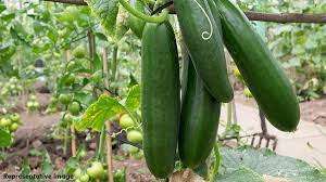 28 SEPTEMEBER 2021 CURRENT AFFAIRS IN TAMIL