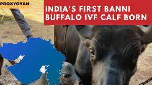 DAILY CURRENT AFFAIRS 24 OCTOBER 2021