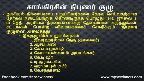 காங்கிரசின் நிபுணர் குழு