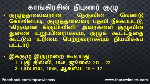 காங்கிரசின் நிபுணர் குழு