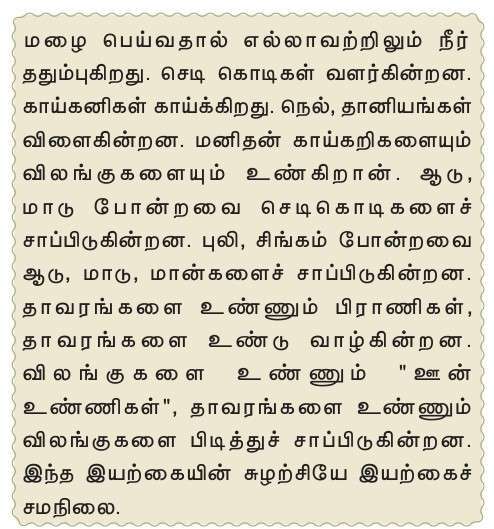 12 TAMIL பெருமழைக்காலம்