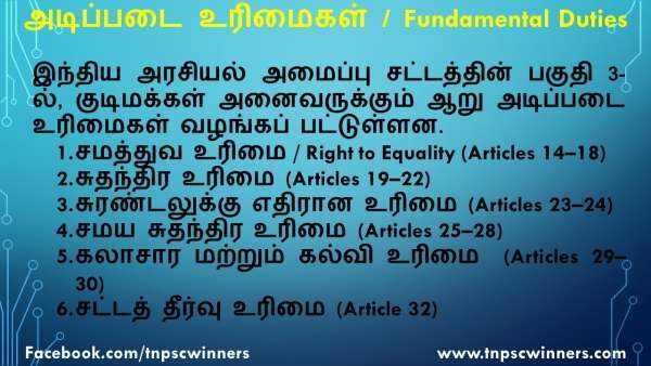 அடிப்படை உரிமைகள்