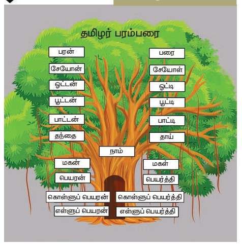 12 TAMIL தமிழர் குடும்ப முறை
