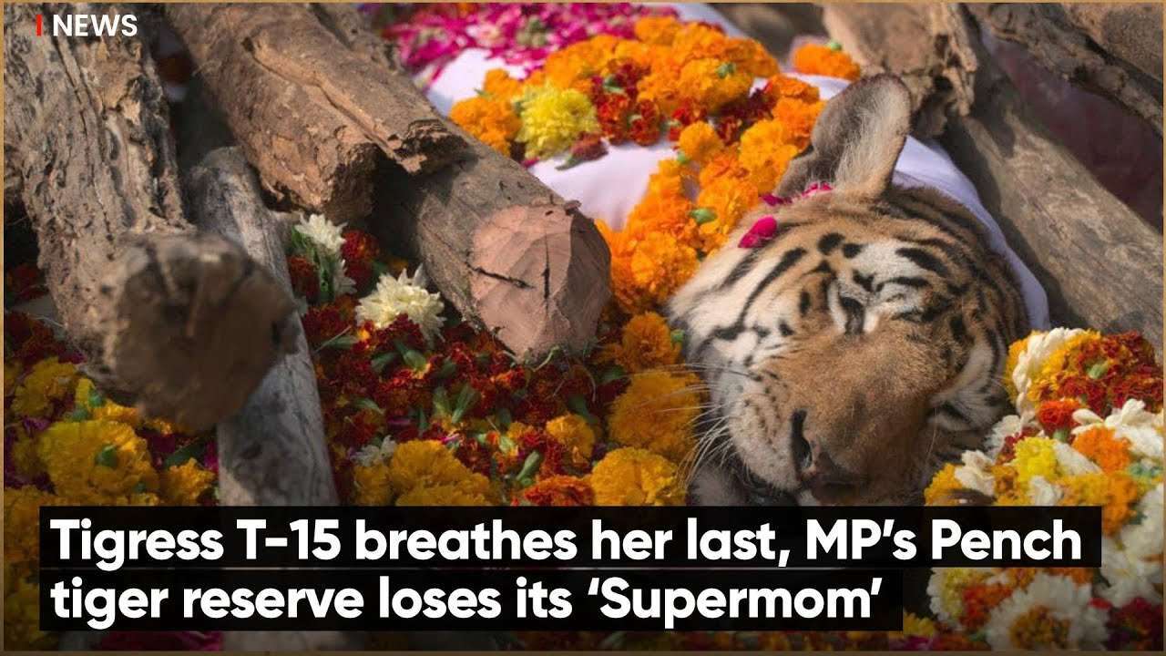 TODAY TNPSC CURRENT AFFAIRS 2022 JAN 16