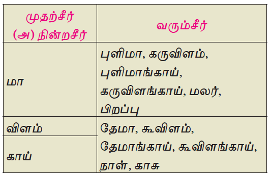 பா இயற்றப் பழகலாம்
