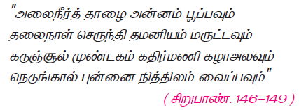 12 TAMIL படிமம்