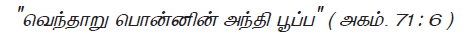 12 TAMIL படிமம்