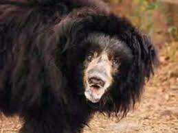 DAILY CURRENT AFFAIRS FOR TNPSC 2022 JAN 12