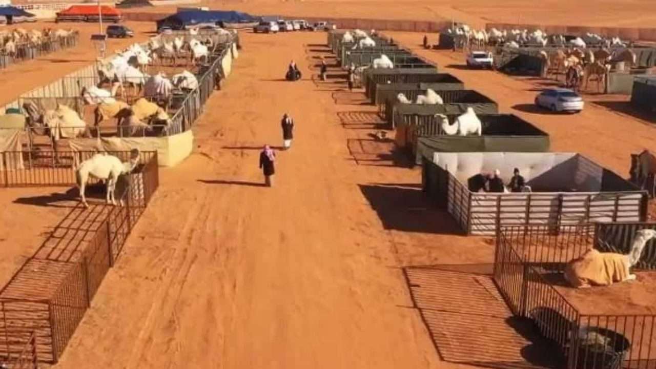 TNPSC DAILY CURRENT AFFAIRS IN TAMIL 2022 JAN 20