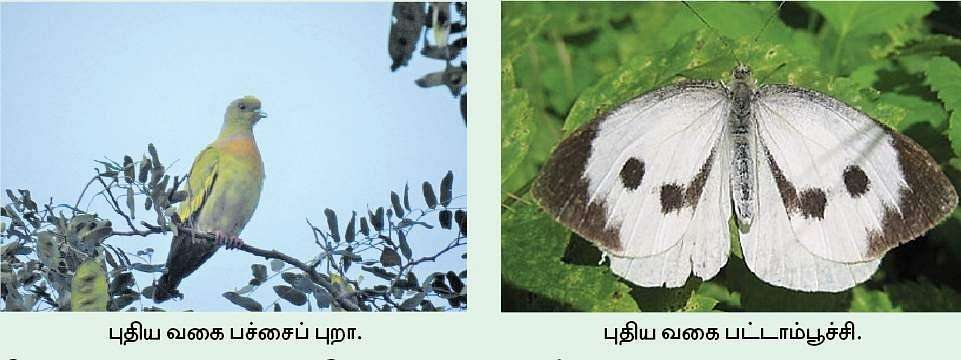 தினசரி நடப்பு நிகழ்வுகள் 2022 ஜனவரி 25