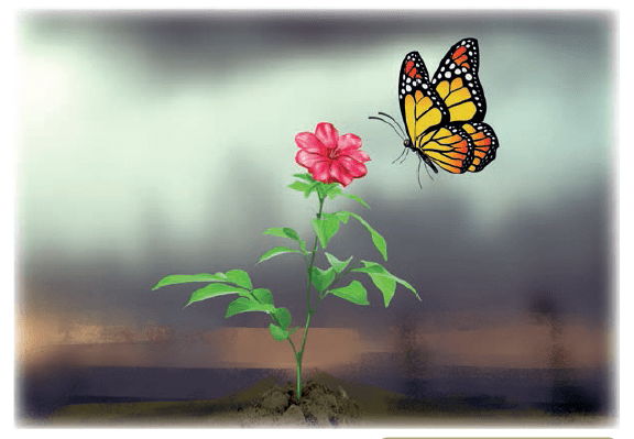 SAMACHEER KALVI 12TH TAMIL அதிசய மலர்