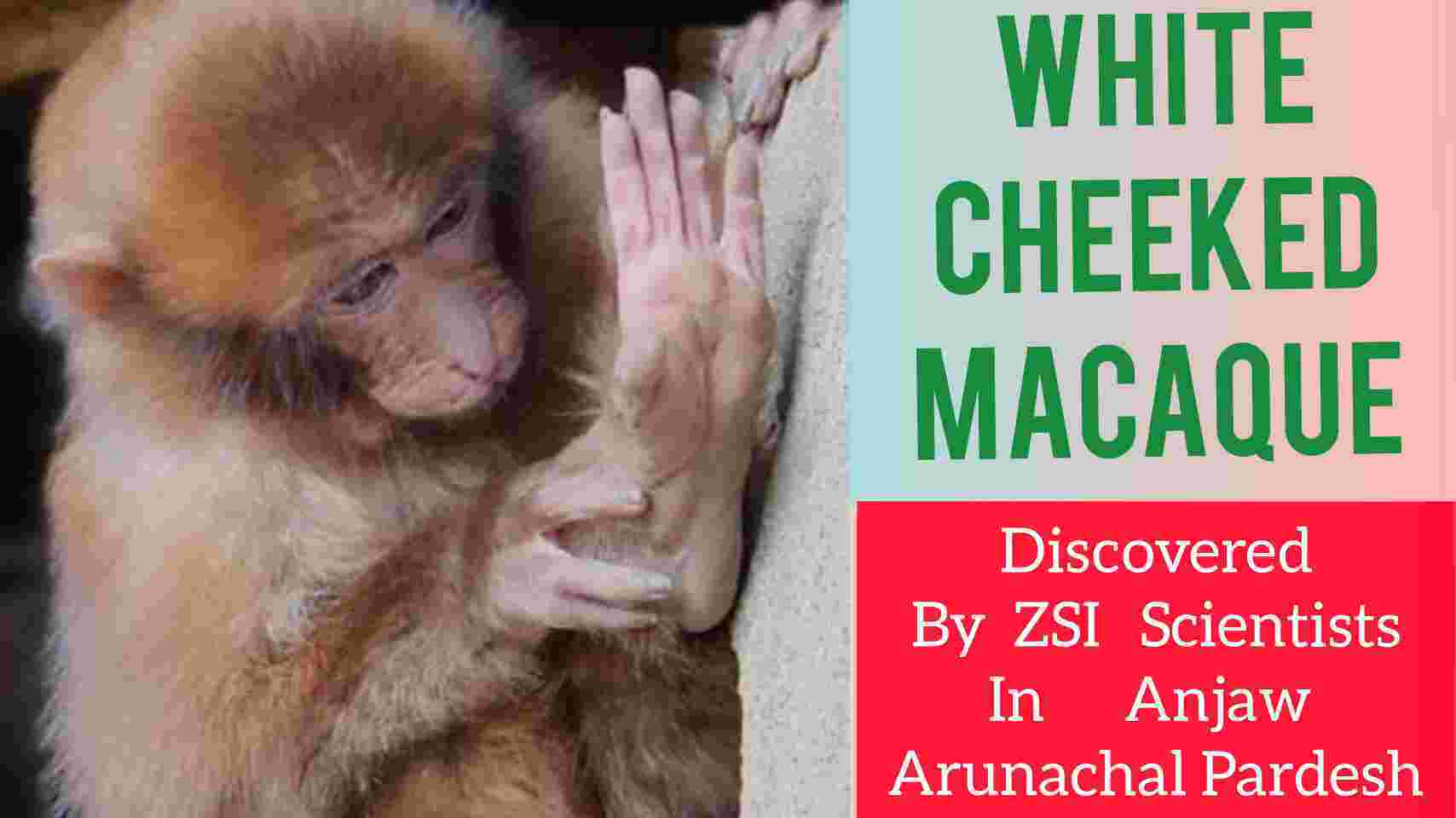 TNPSC GROUP 4 CURRENT AFFAIRS IN TAMIL 2022 FEB 11