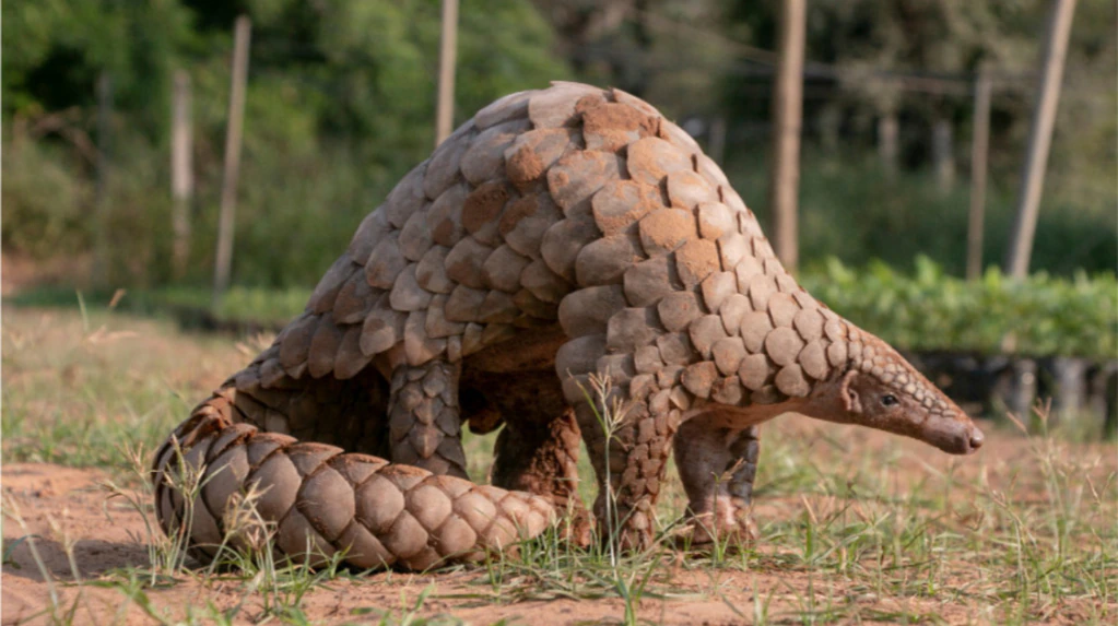 TNPSC CURRENT AFFAIRS 2022 FEB 18