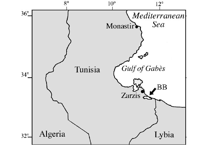 CURRENT AFFAIRS TNPSC TAMIL 2022 APRIL 17