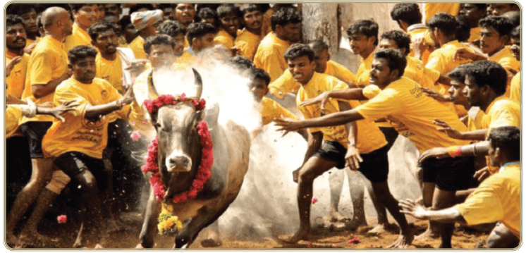 11TH TAMIL வாடிவாசல்