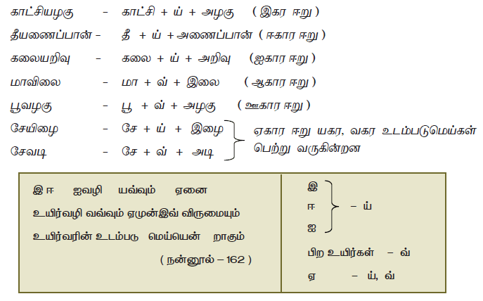 11TH TAMIL புணர்ச்சி விதிகள்