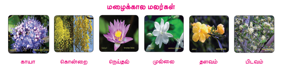 11TH TAMIL ஐங்குறுநூறு