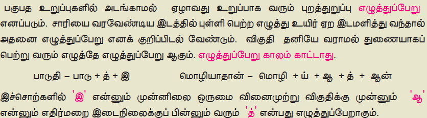 11TH TAMIL பகுபத உறுப்புகள்