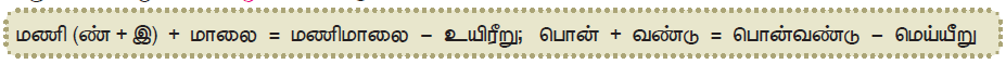 11TH TAMIL மொழி முதல் இறுதி எழுத்துக்கள்