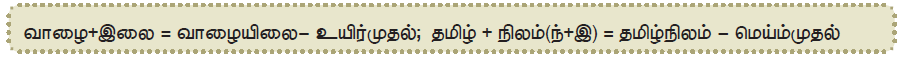 11TH TAMIL மொழி முதல் இறுதி எழுத்துக்கள்