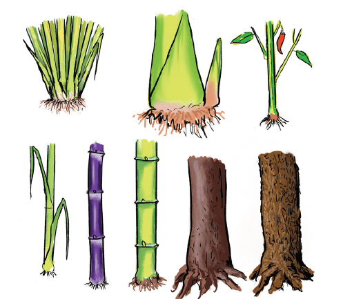 10TH TAMIL தமிழ்ச்சொல் வளம்