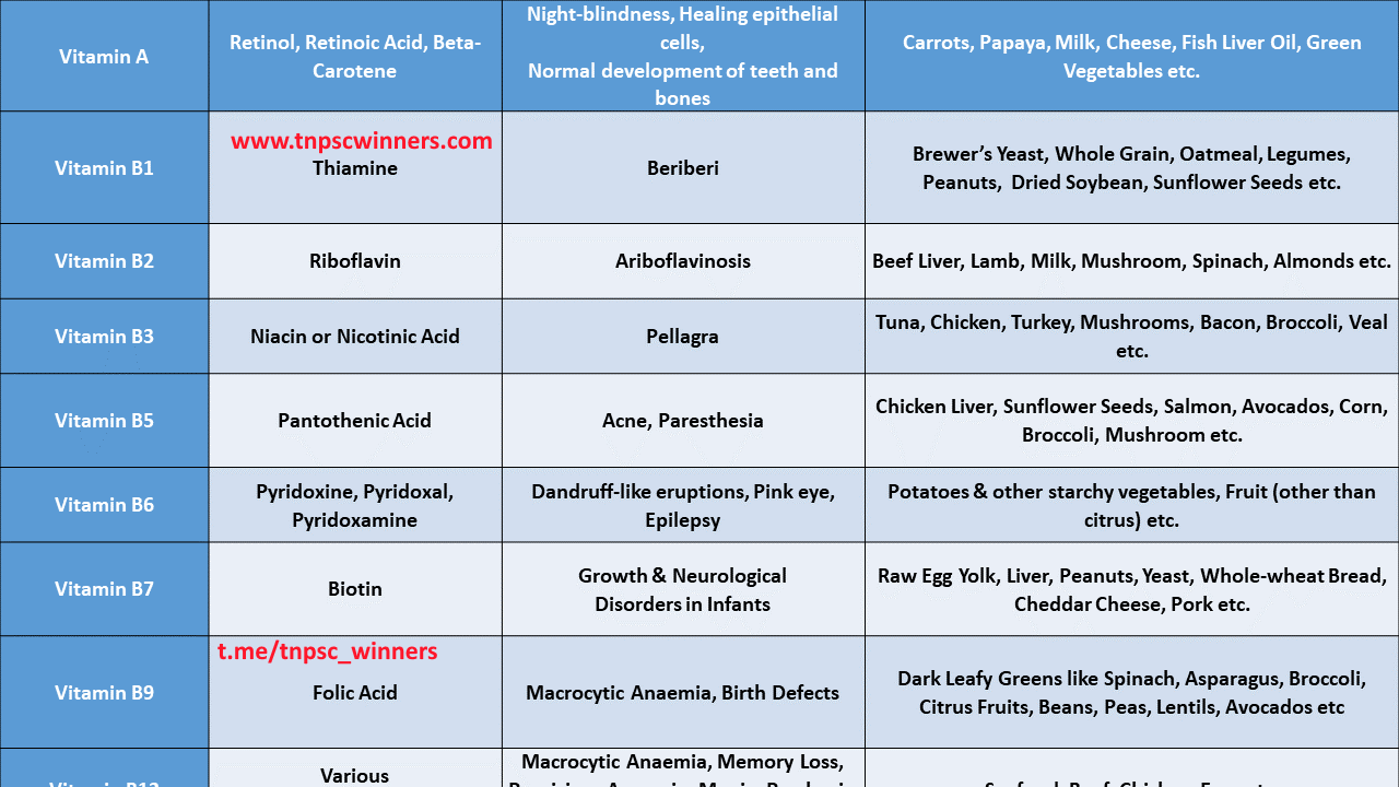 12 Important Vitamins and Minerals Deficiency Diseases
