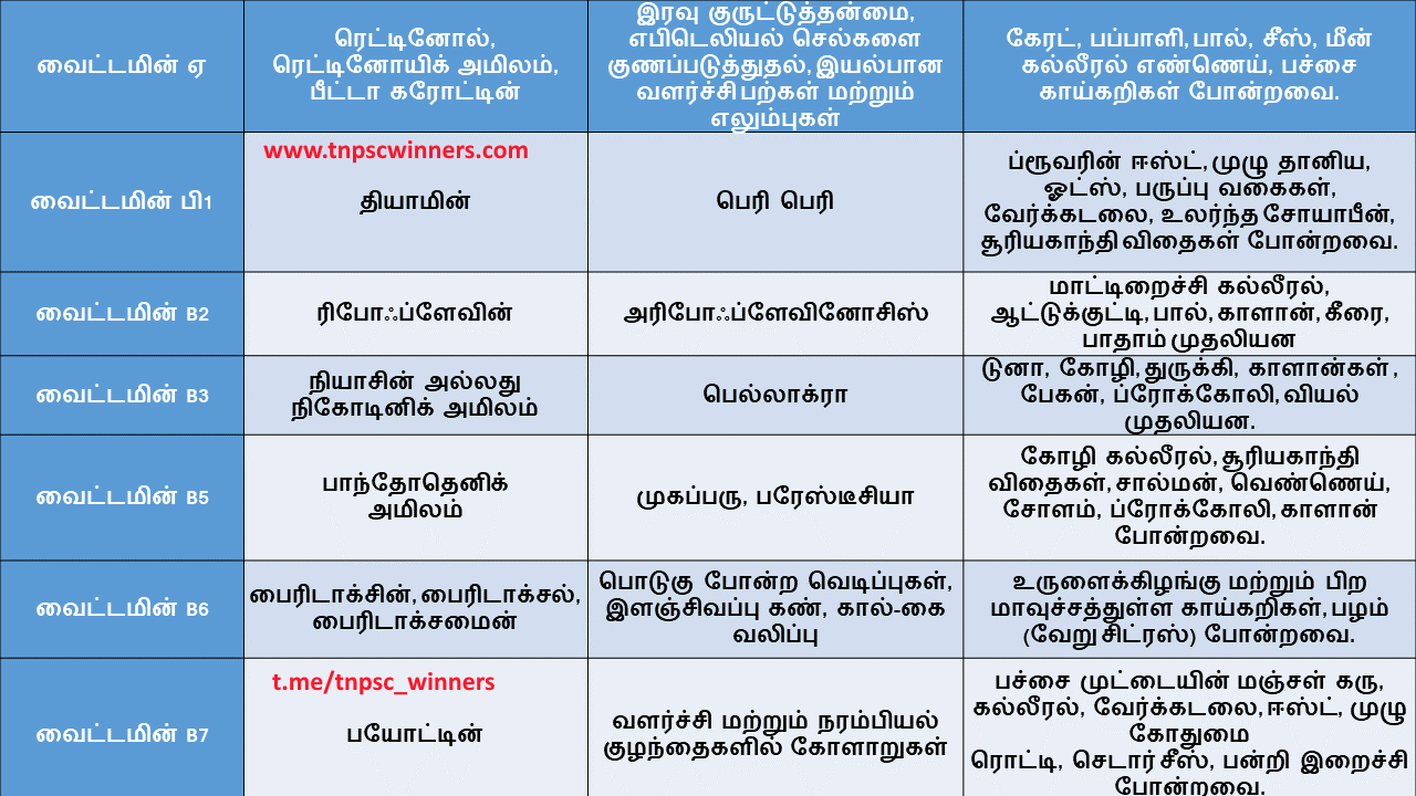 முக்கிய வைட்டமின்கள் தாதுக்கள் நோய்கள்