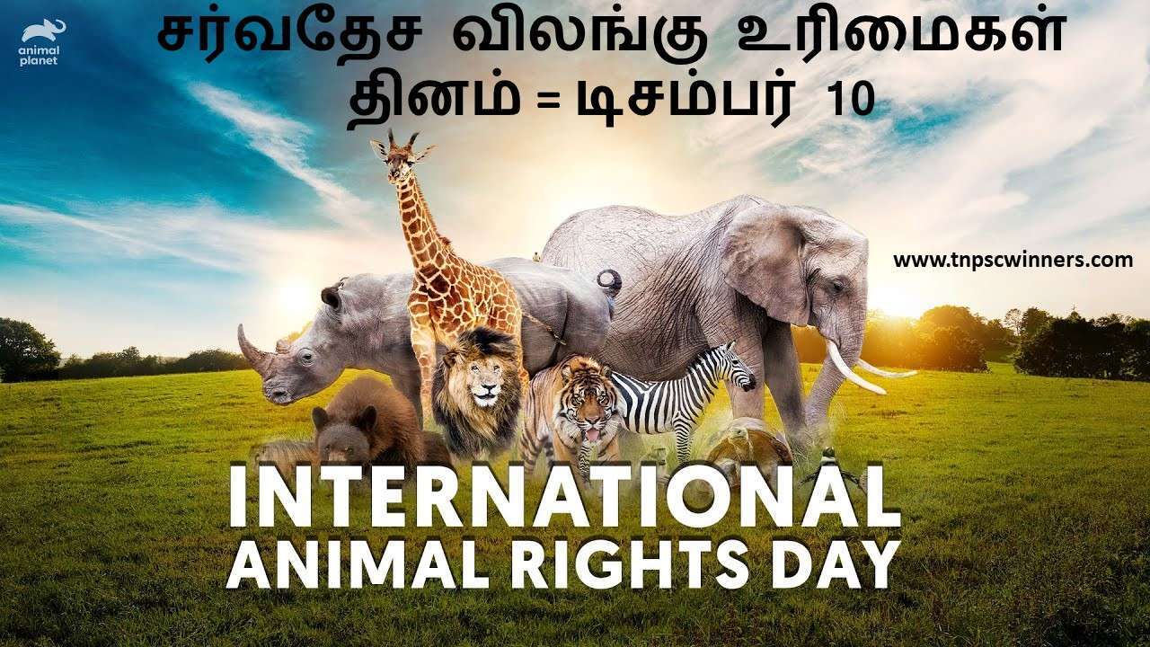 TOP CURRENT AFFAIRS TODAY TAMIL 10/12/2022