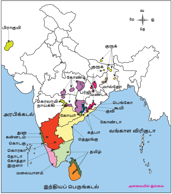 9TH TAMIL திராவிட மொழிக்குடும்பம்