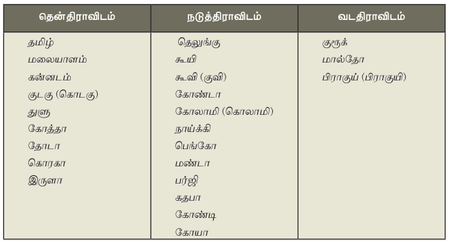 9TH TAMIL திராவிட மொழிக்குடும்பம்