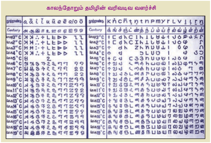 9TH TAMIL திராவிட மொழிக்குடும்பம்