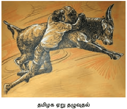 9TH TAMIL ஏறு தழுவுதல்