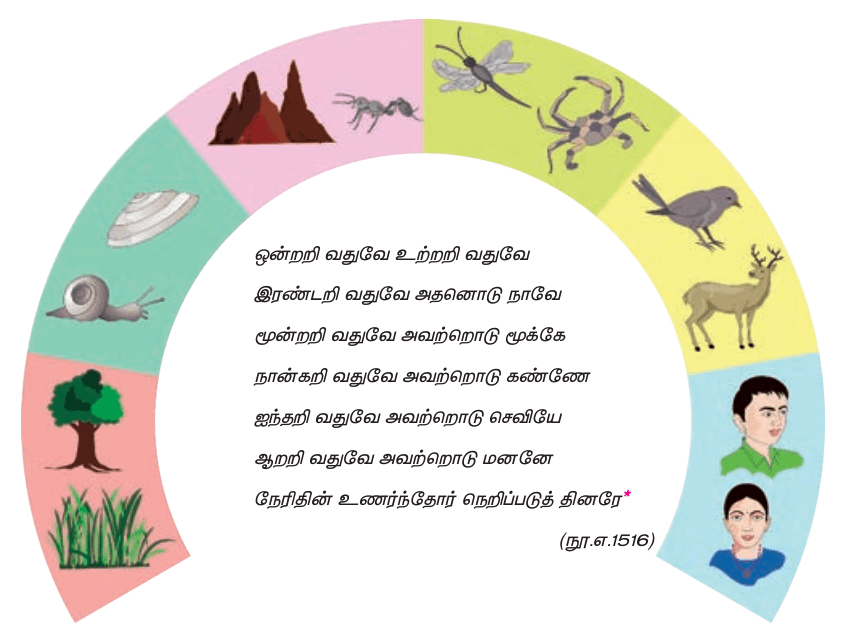 9TH TAMIL உயிர்வகை