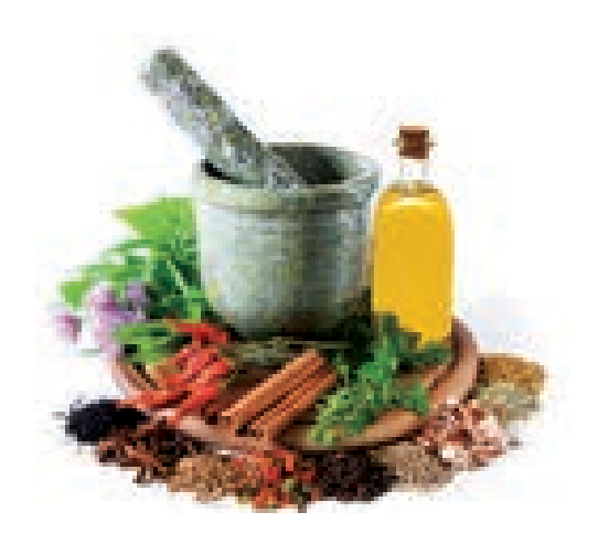 9TH TAMIL சிறுபஞ்சமூலம்