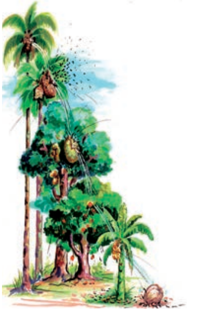 9TH TAMIL சீவக சிந்தாமணி