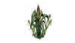 9TH TAMIL ஆகுபெயர்