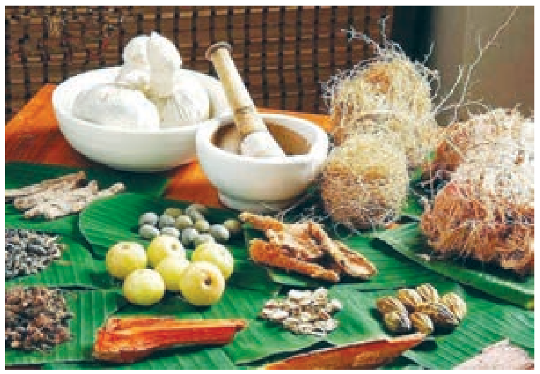 8TH TAMIL தமிழர் மருத்துவம்