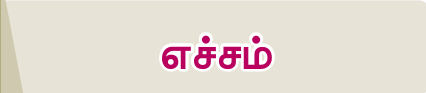 8TH TAMIL எச்சம்